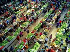 而是生产、加工、仓储、运输、销售等各个环节都标准化、绿色化、智慧化
-海