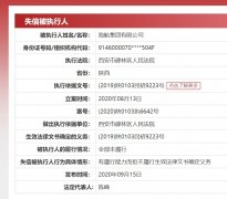 西安市碑林区人民法院发出限制消费令
-国际快递价格