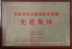 宜昌三峡机场获“宜昌市抗击新冠肺炎疫情先进集体”称号
-海运到欧洲