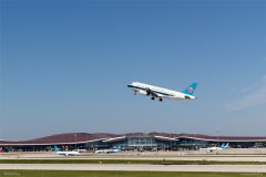 作为最大的主基地航空公司
-海运费报价