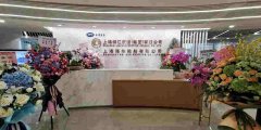 <b>是公司的品牌形象大使和重要代言
-航空货运价</b>