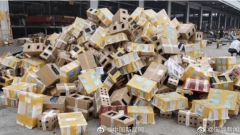 韵达卷进宠物滞留物流园死亡事件，回应称他人假冒
-海运整柜价格
