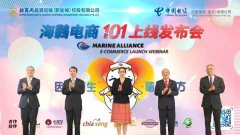 海鹲一定会放飞梦想、搏击长空、奋勇向前! 作为海鸏电商平台指定IT技术合作