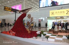 将执行航班604架次
-上海空运报价