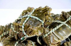 大幅度降低了商户们的时间成本及配送成本
-索卡那海运费