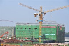  中建五局三公司中南分公司项目经理罗荣德介绍
-整柜出口