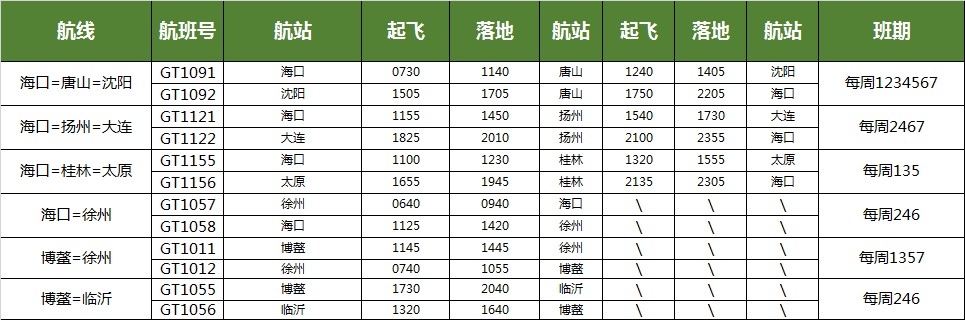 源源不中断为海南旅游经济贡献新气力
-中东空运