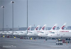 随着更多的东宽体机投入到国内航班中
-整柜