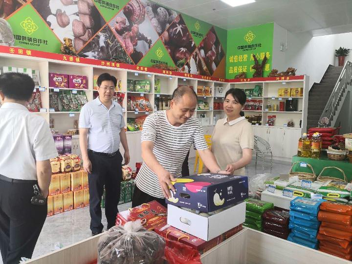 市供销社党组书记、主任罗红梅到瑞金、寻乌、安远、信丰调研