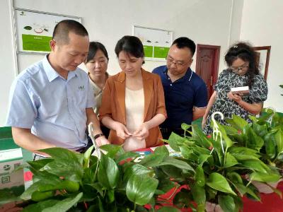 市供销社党组书记、主任罗红梅到瑞金、寻乌、安远、信丰调研