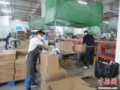 “双11”大促预售期间
-中欧班列线路