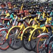 肯定是坐公交会更划算
-海运整柜费用