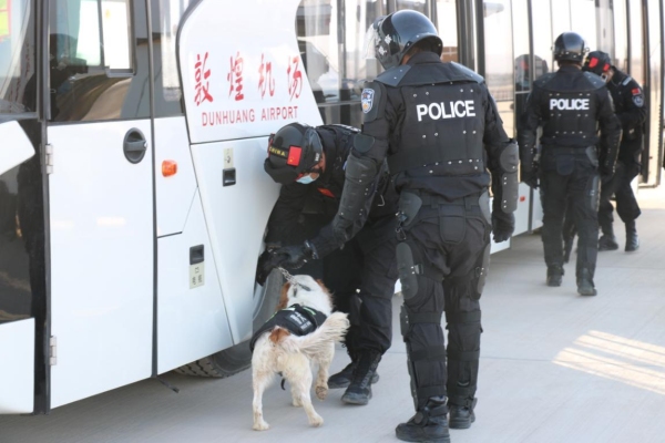 机场和敦煌市应急救援气力紧密配合、协同作战
-框架柜海运