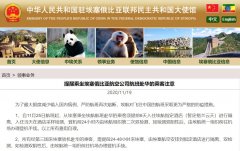 埃航对飞往中国的航班采取更为严格的防疫措施
-上海空运公司
