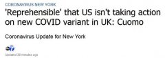新冠病毒在英出现新变种，纽约州长怒批：天天多趟航班从英国飞来，我们什么