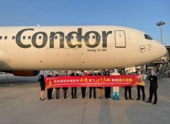 神鹰航空还与合作伙伴中国东方航空合作
-智利空派