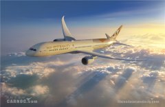  阿提哈德航空保障乘客健康与安全的计划阿提哈德健康卫生计划（Etihad Wellne