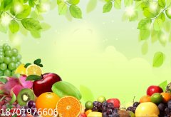 光照过长应保持每天6～7个小时的光照时间








