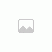 数字中台是数字经济发展到今天
-国际海运