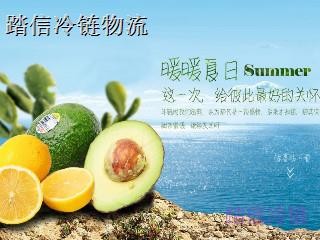 上海到南昌冷冻运输公司冷链物流海鲜冷链2021推荐之一