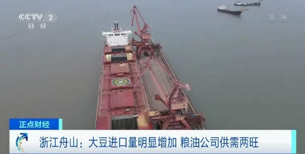 目前该公司主要将进口大豆进行压榨和精炼
-国际货代