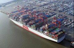 东方海外2020年全年总收益达74.61亿美元（附图）









