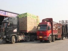 其所经营的产品少则几十种
-深圳空派