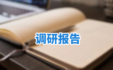 调研报告（范文30篇）
