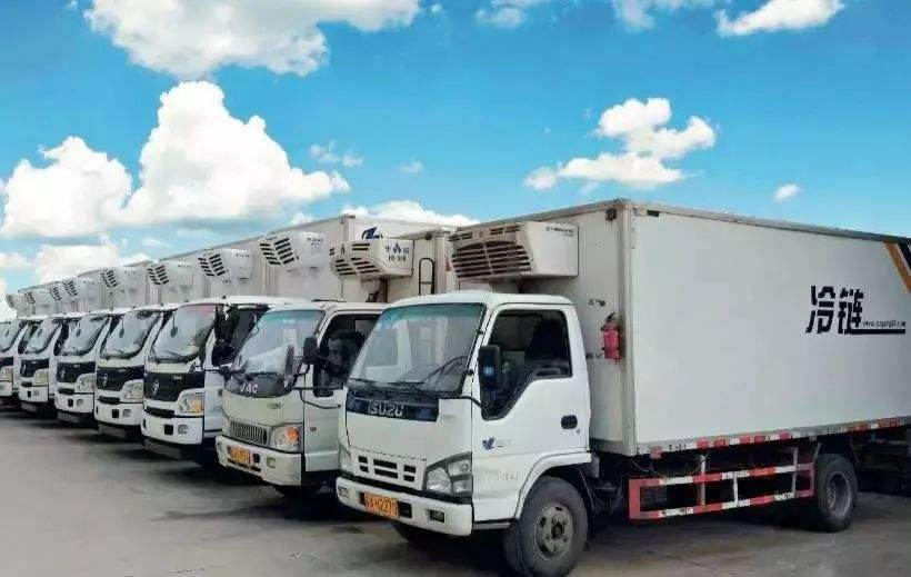 物流公司：上海到义马染色剂冷链物流排名多少
