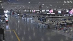 由于各家航空公司积极利用客机开展货物运输等
-国际海运
