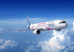 他们正在研发A321XLR新的襟翼构型
-物流
