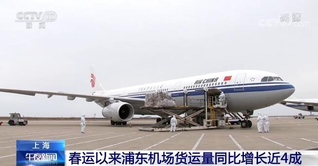 受航空运输需求旺盛带动 春运以来浦东机场货运量同比增长近4成555013_ 受航空运输需求旺盛带动 春运以来浦东机场货运量同比增长近4成