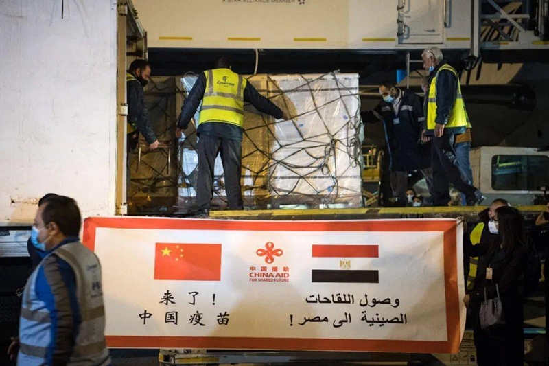 开罗机场拉起横幅：“来了！中国疫苗”