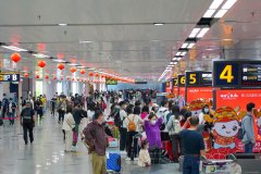 2021年春节黄金周期间
-国际海运