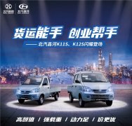 北汽昌河微卡 “货运人”段位提升神器
-国际海运