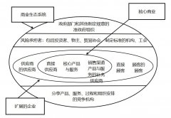 如果核心企业推动创新的能力不足
-深圳海派