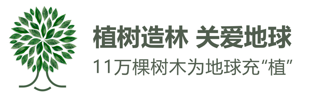 遏制严重威胁到当地村民生活的森林破坏情况
-宁波双清包税