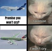 不太可能在2023年之前运行A380
-宁波双清包税