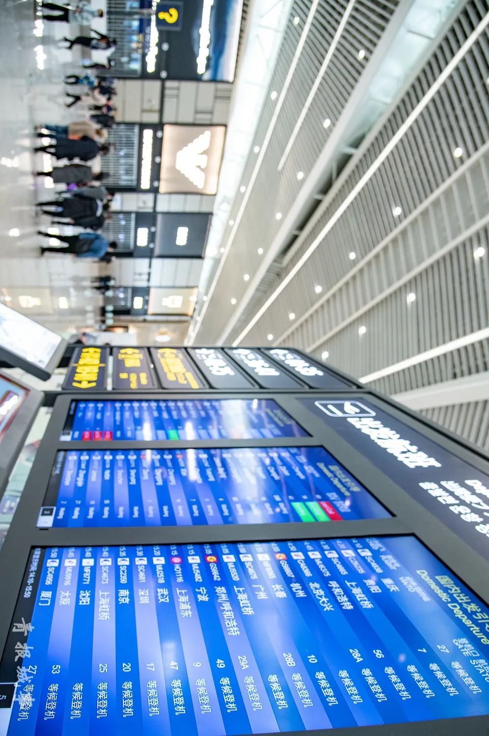 国际快件和跨境电商等新增业务也在本次演练中得到实际验证-深圳海派