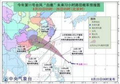 台风蓝色预警:“白鹿”24日或正面登陆福建！-运费报价