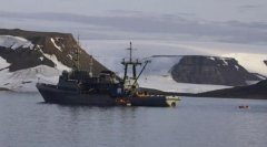 海象护崽“撞沉”俄海军船只-上海空运